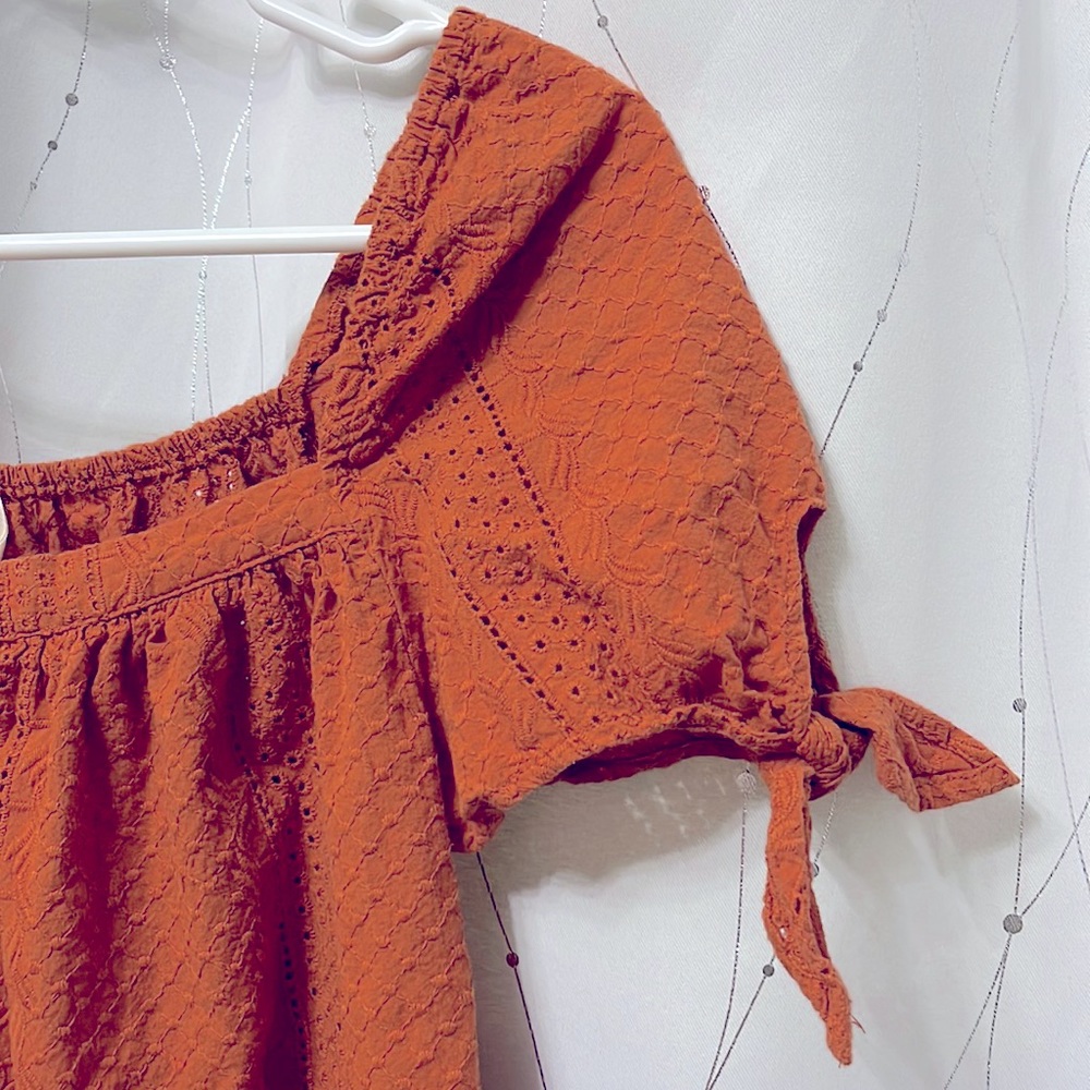 Like New Universal Thread | Eyelet Rust Crop Top,… - image 4